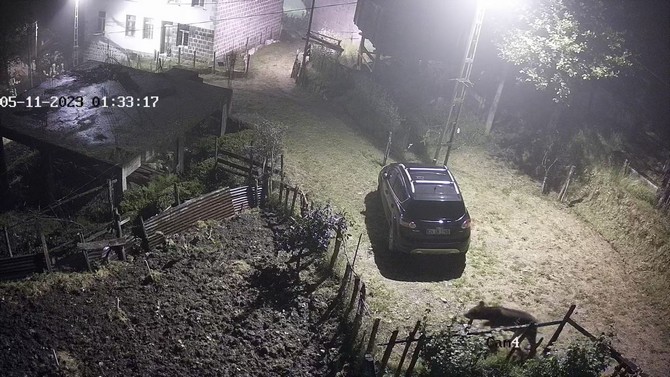 rizenin-hemsin-ilcesinde-yiyecek-arayan-bir-ayinin-evin-etrafinda-dolanma-anlari-mahallede-bulunan-bir-evin-guvenlik-kameralarina-anbean-yansidi-3.jpg