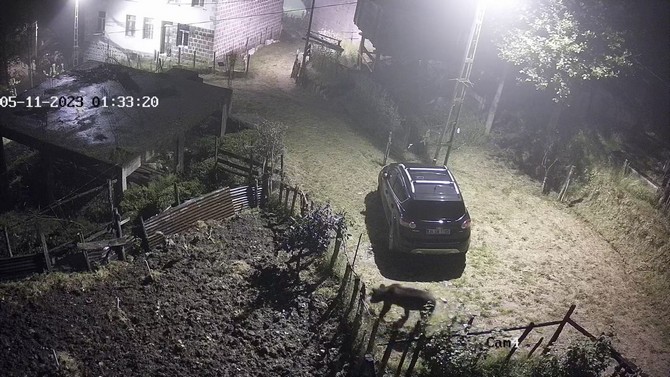 rizenin-hemsin-ilcesinde-yiyecek-arayan-bir-ayinin-evin-etrafinda-dolanma-anlari-mahallede-bulunan-bir-evin-guvenlik-kameralarina-anbean-yansidi-4.jpg