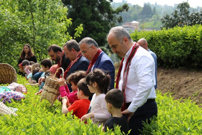 rize-valisi-kemal-ceber-belediye-baskani-rahmi-metin-caykur-genel-muduru-yusuf-ziya-alim-ve-il-muftusu-naci-cakmakci-kres-ogrencileriyle-beraber-bir-sure-cay-topladi-10.jpg