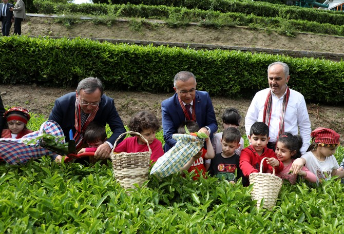 rize-valisi-kemal-ceber-belediye-baskani-rahmi-metin-caykur-genel-muduru-yusuf-ziya-alim-ve-il-muftusu-naci-cakmakci-kres-ogrencileriyle-beraber-bir-sure-cay-topladi-4.jpg