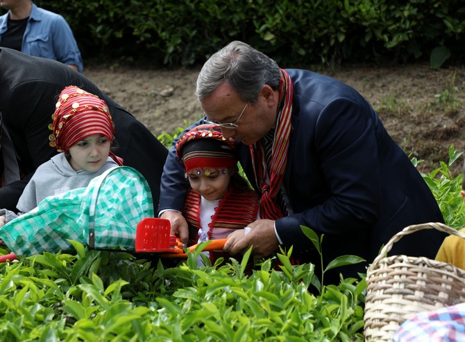 rize-valisi-kemal-ceber-belediye-baskani-rahmi-metin-caykur-genel-muduru-yusuf-ziya-alim-ve-il-muftusu-naci-cakmakci-kres-ogrencileriyle-beraber-bir-sure-cay-topladi-5.jpg