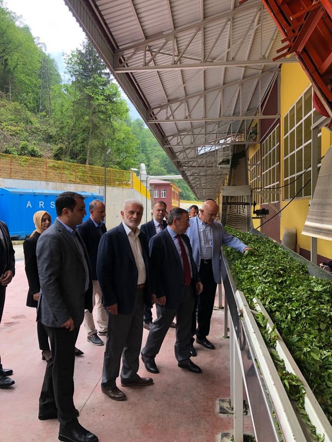 caykur-camlihemsin-cay-fabrikasina-ziyaret-2.jpg