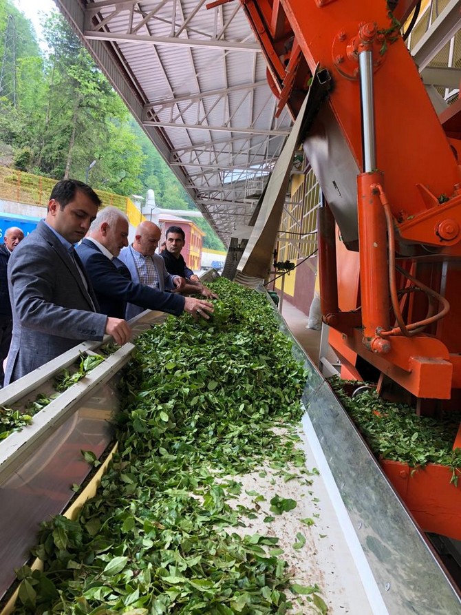 caykur-camlihemsin-cay-fabrikasina-ziyaret-3.jpg