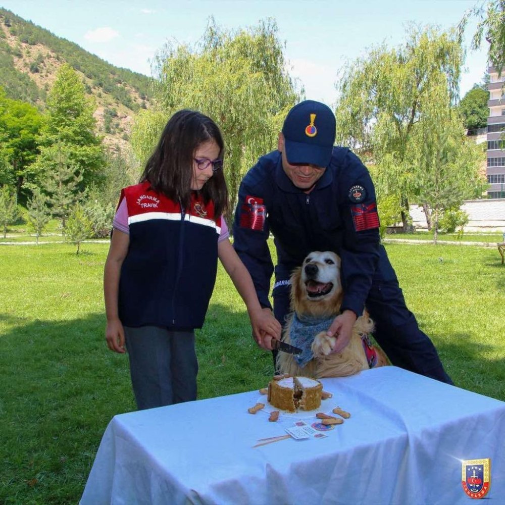 Uyuşturucu arama köpeği ‘Altın’ pasta kesilerek emekli edildi