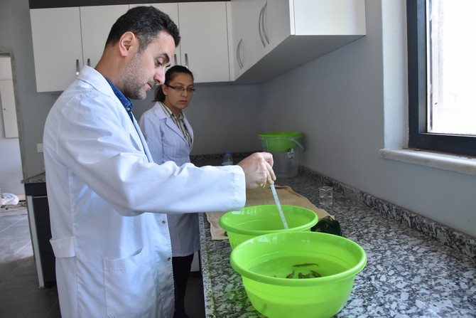 trabzon-su-urunleri-merkez-arastirma-enstitusunce-hazirlanan-proje-kapsaminda-gokkusagi-alabaliginin-bagisiklik-sistemini-guclendirmek-icin-calismalar-yurutuluyor-1-11.jpg