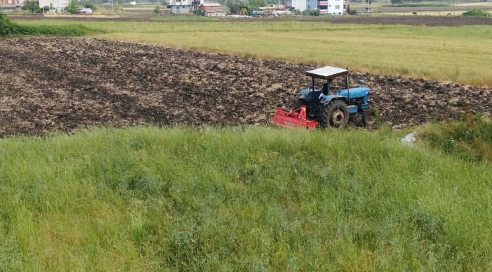 Prof. Dr. Demir: Sıcak Hava Dalgası Uzun Sürerse Tarımda Verim Kaybı Yaşanır