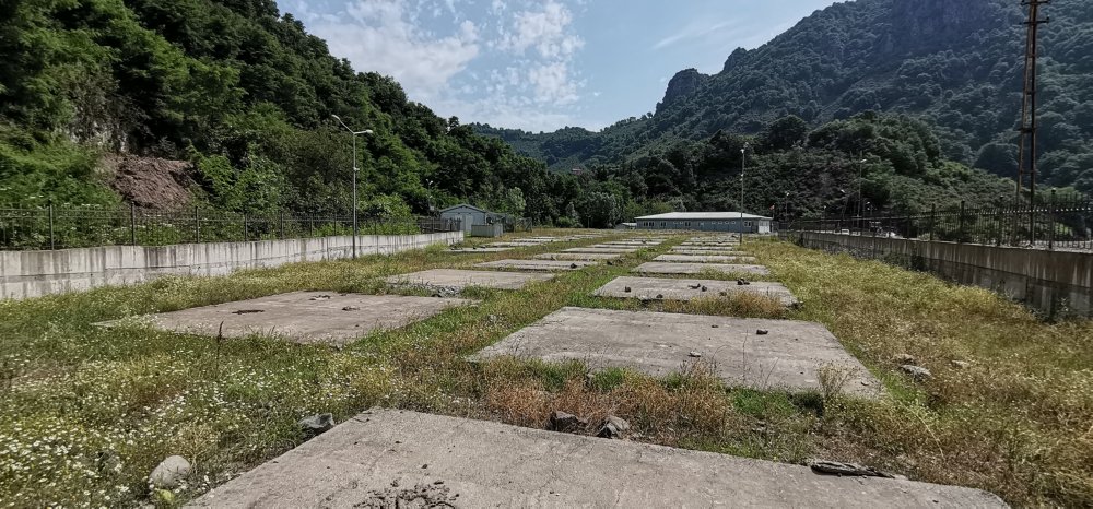 'asrın Felaketi’, Fındığı Da Vurdu