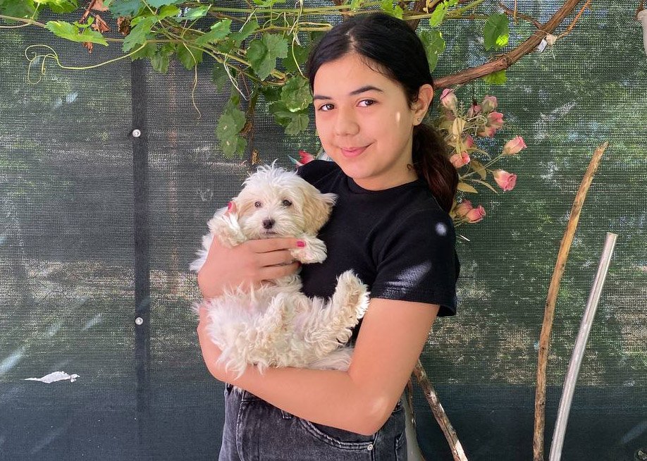 Bahçesinden Kaybolan Köpeği, Sosyal Medyada Yayınladığı '10 Bin Tl Ödül' İlanıyla Bulundu