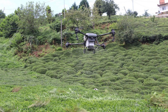 rize-ziraat-odasi-dron-ile-cay-gubreleme-uygulamasini-denedi-7.jpg