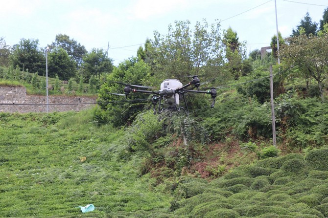 rize-ziraat-odasi-dron-ile-cay-gubreleme-uygulamasini-denedi-9.jpg