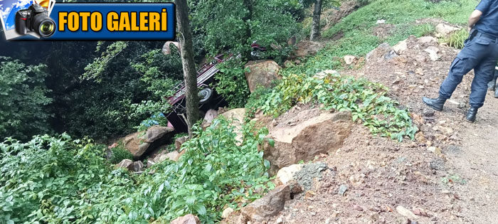 artvinin-arhavi-ilcesinde-cay-toplamaya-gidenleri-tasiyan-ali-t-nin-24-kullandigi-61-dp-207-plakali-kamyonet-20-metre-yukseklikten-ucuruma-yuvarlandi-kazada-3-kisi-yaralandi.jpg