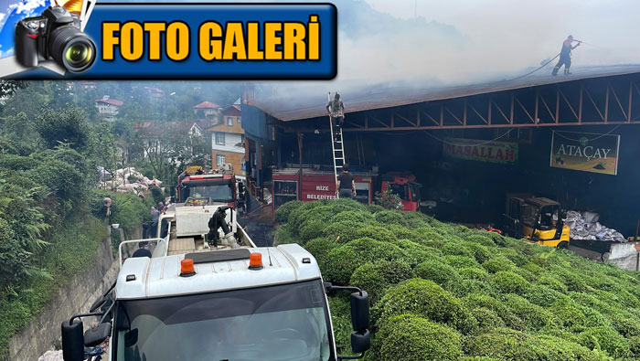 rizede-cay-fabrikasinda-cikan-yanginda-bir-kisi-dumandan-etkilendi.jpg