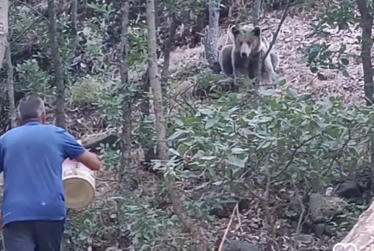 Milli Parktaki Yaban Hayvanları İçin 'ziyaretçilere 'Beslemeyin' Uyarısı