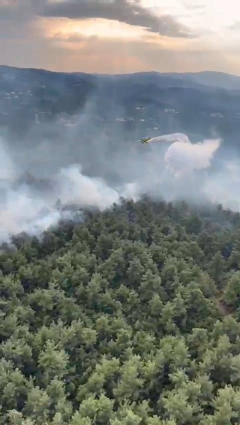 Bursa'da Orman Yangını (3)
