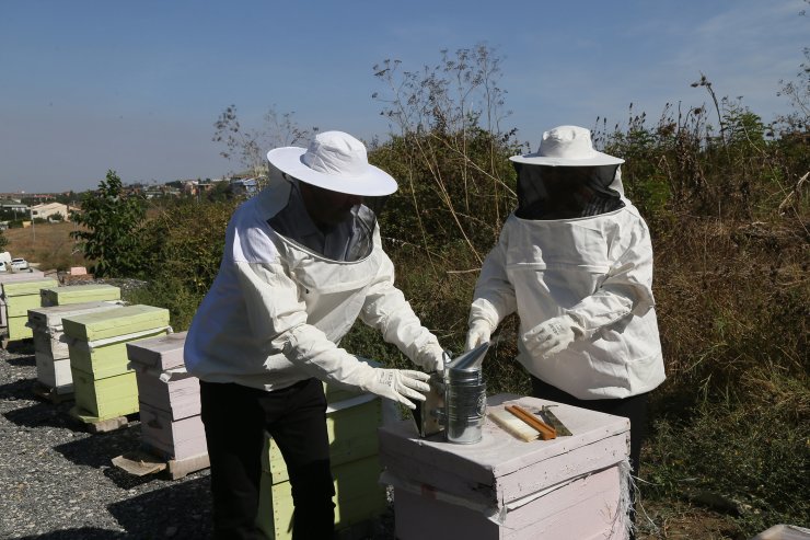 Büyükçekmece’de İlk Bal Hasadı Gerçekleşti