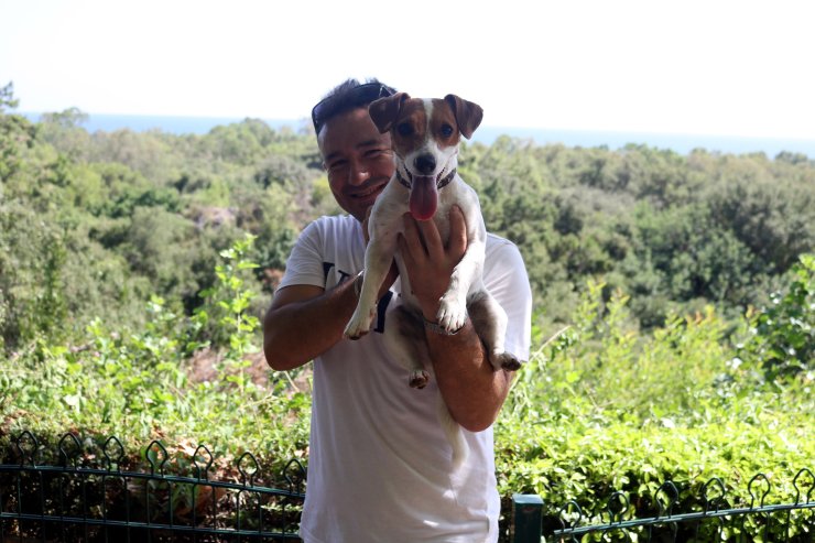 Falezlerden Düşen Köpek, Kurtarma Ekibinden Kaçıp, Yukarı Kendisi Çıktı