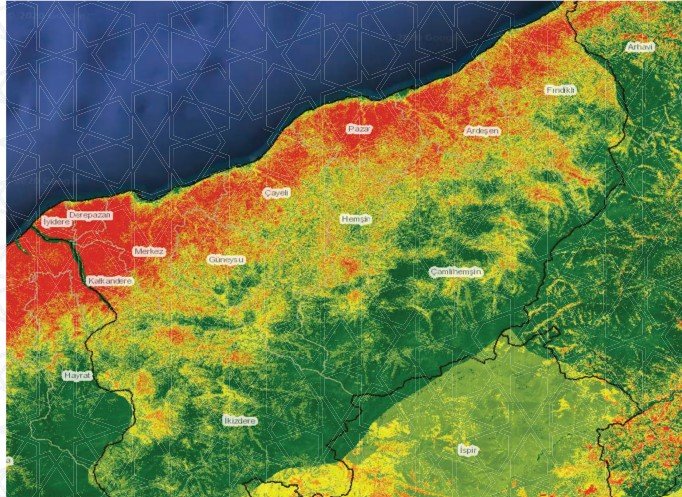 ‘Heyelanlarda En Büyük Etken, Kontrolsüz Ağaç Kesimi’