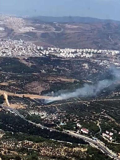 İzmir Bornova'da Orman Yangını