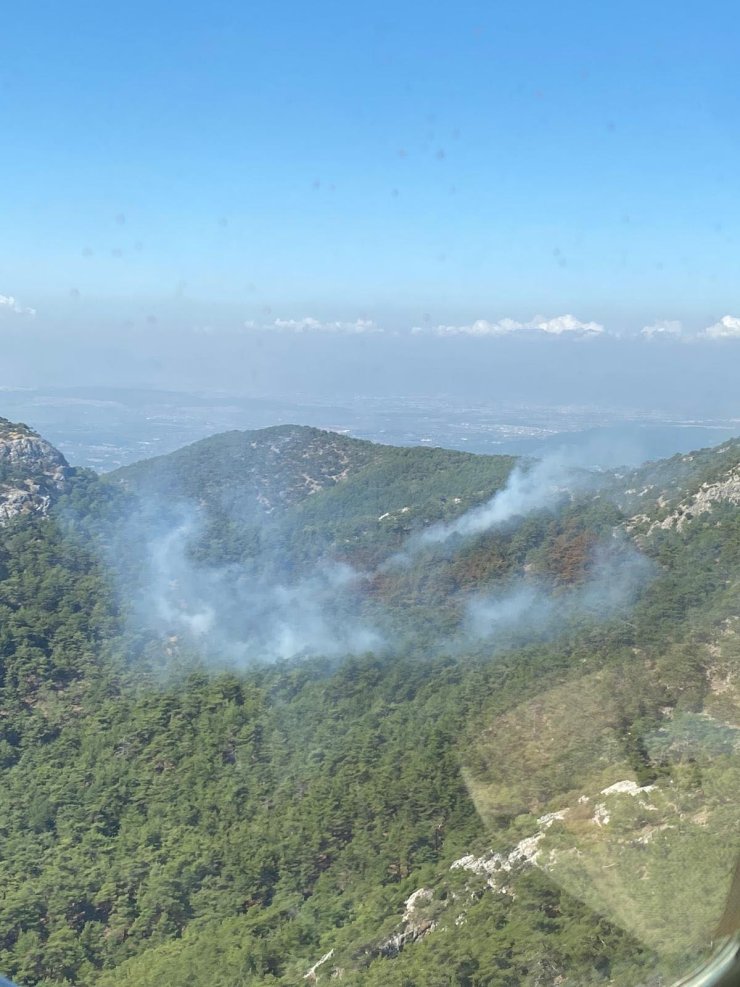 İzmir'de Orman Yangını