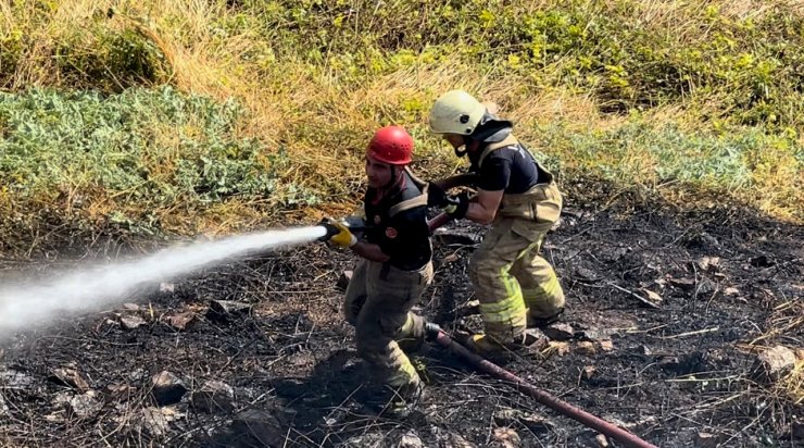 Kartal'da Otluk Alanda Yangın