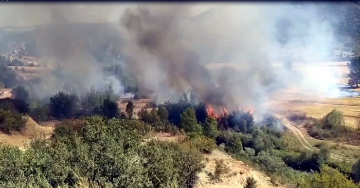 Kastamonu'da Yangın, 1 Saatte Kontrol Altına Alındı