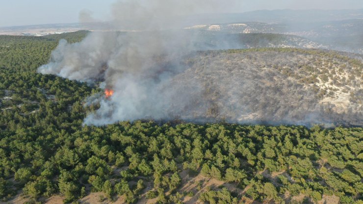 Kütahya'da Orman Yangını (2)