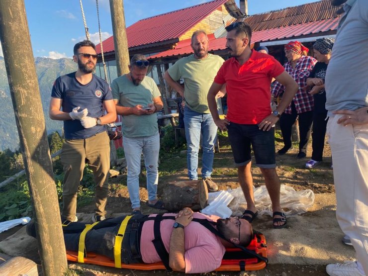 Salıncakla İneğe Çarpan Turizmci Yaralandı