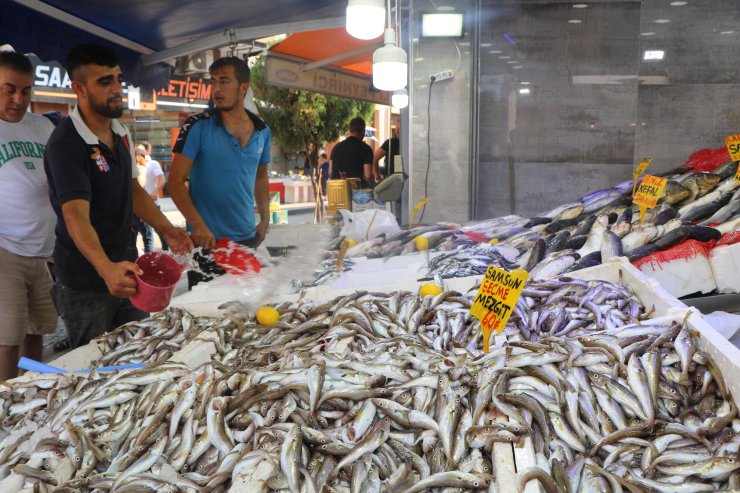 Samsun'da Tezgahlar Balıkla Doldu