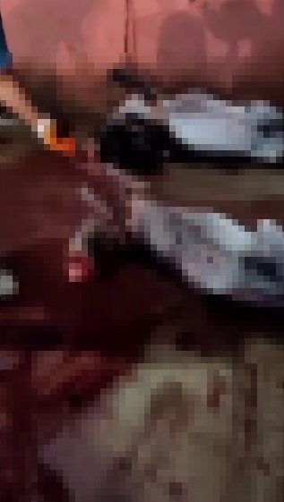 Adana'da Depoda 12 Kesilmiş, 2 Kesilmemiş Eşek; 6 Da At Ele Geçirildi