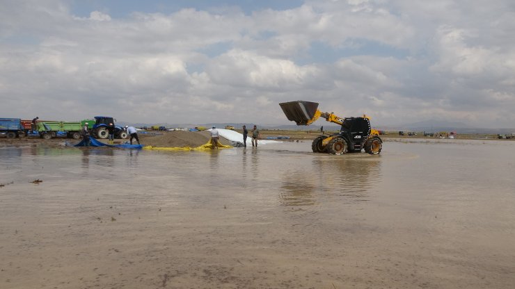 Aksaray'da Yağmur Ve Dolu, Çerezlik Ayçiçeğini Vurdu