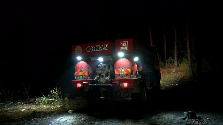 Bursa'da Orman Yangını (4)