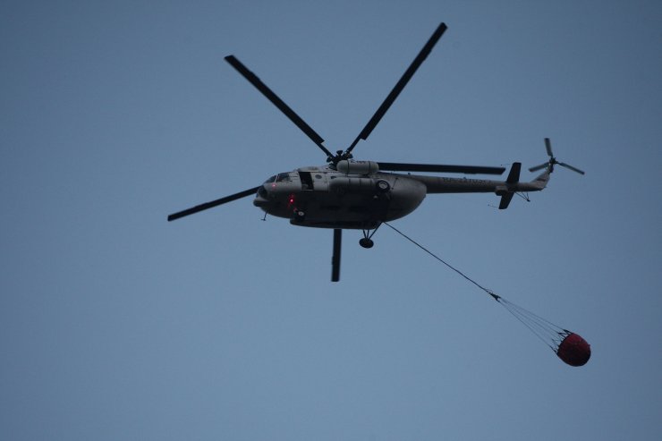 Bursa'da Orman Yangını (5)