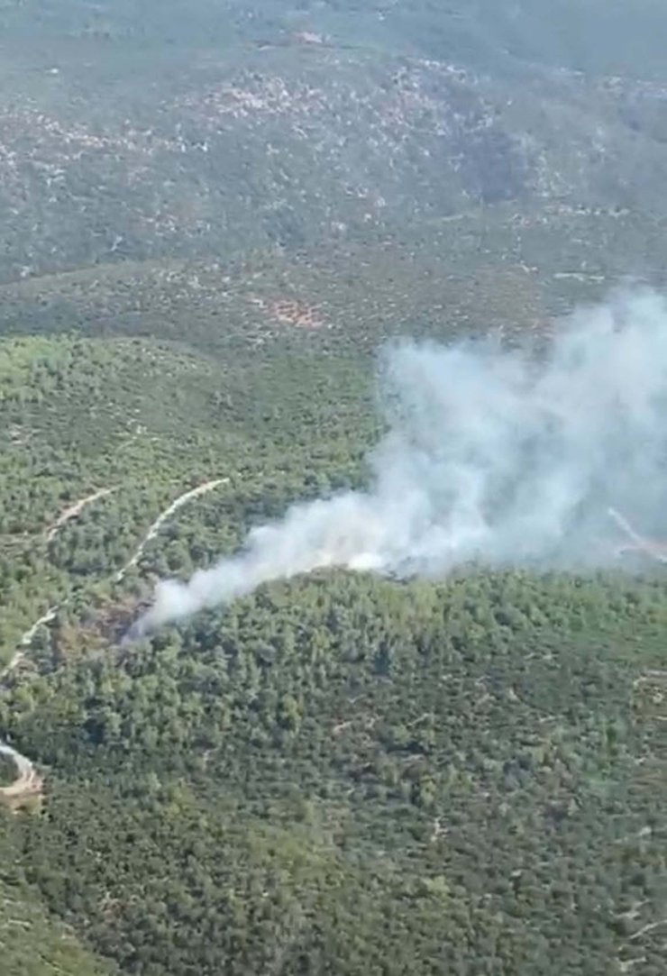 İzmir'de Orman Yangını
