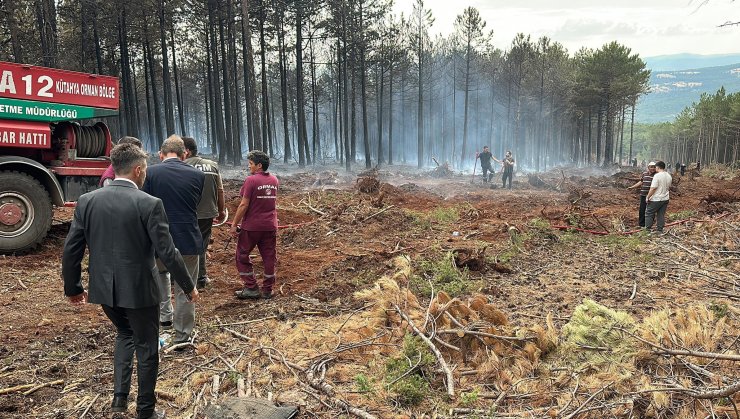 Kütahya’da Orman Yangını (2)