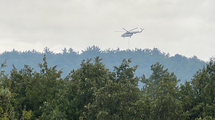 Kütahya’da Orman Yangını