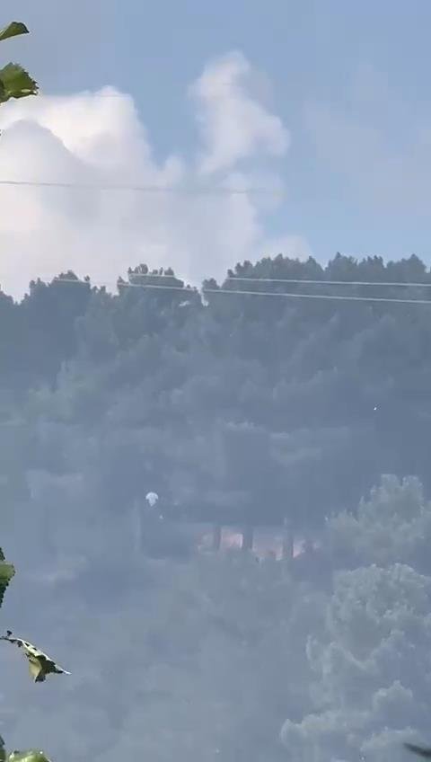 Sultangazi Kent Ormanı'nında Yangın Çıkarıp Kaçtılar İddiası