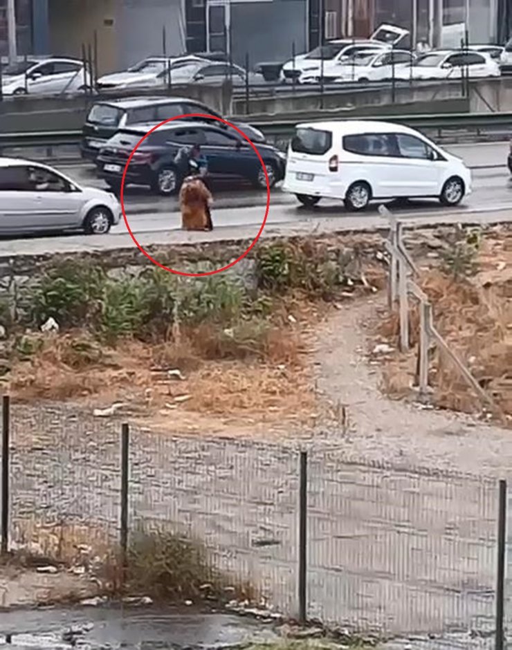 Kadına Kemerli Saldırı Kamerada