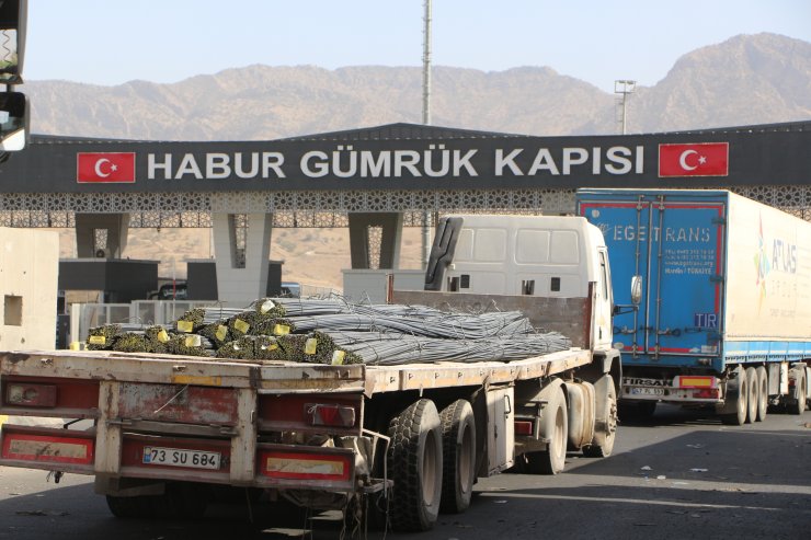 Teslim Olan Terörist: Anlatılanlarla Dağdaki Yaşam Bağdaşmıyor