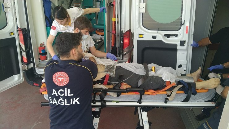 Ağaçtan Düşüp, Vücuduna Dal Saplandı; Hastanede Öldü