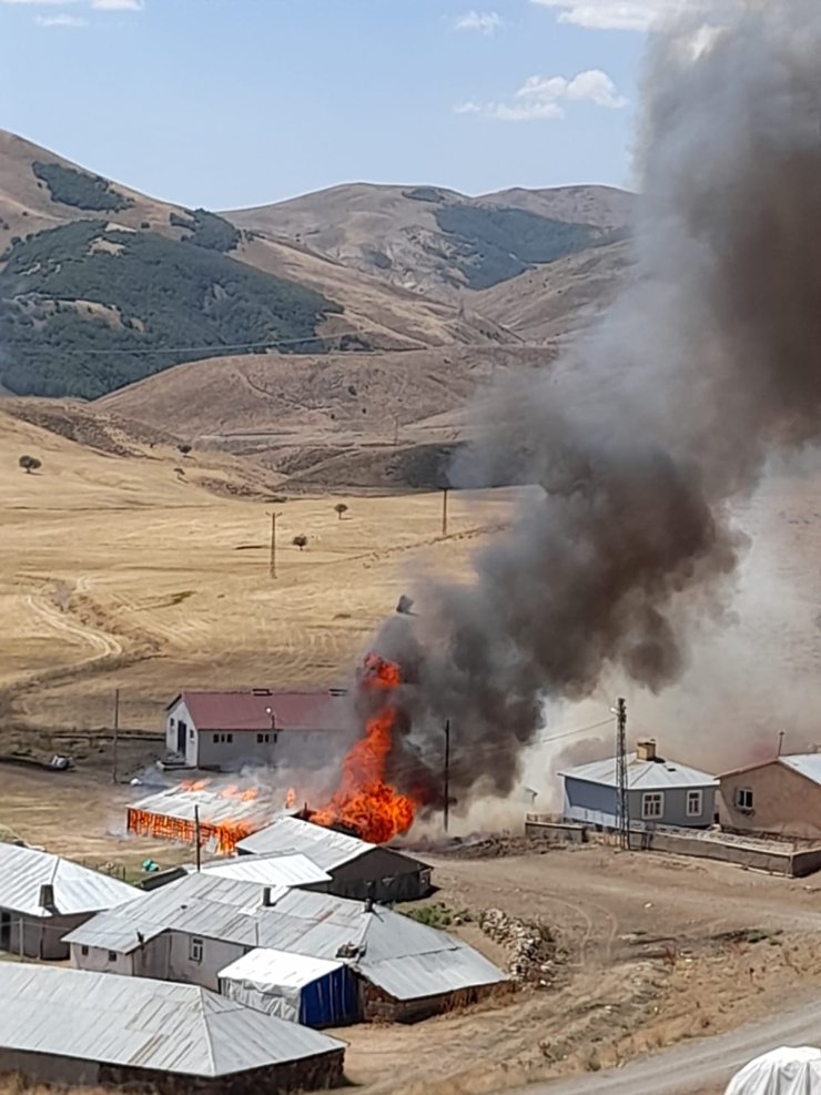 Bingöl'de Ahırda Çıkan Yangında 22 Küçükbaş Öldü