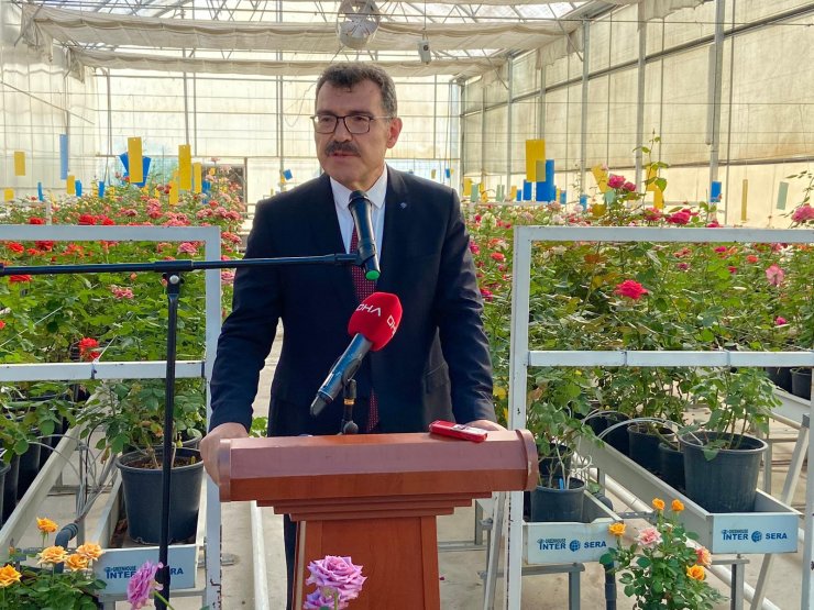 Çiçekte Dışa Bağımlılığı Azaltacak Proje