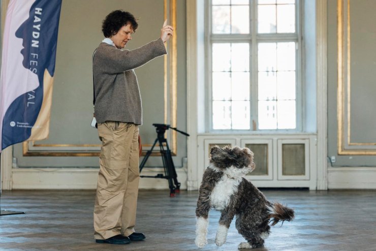 Danimarka’daki Klasik Müzik Festivalinde Orkestraya 3 Köpek Katıldı