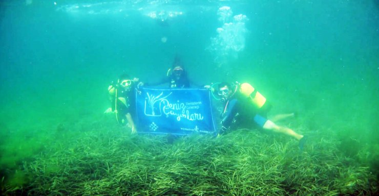 Marmara’nın Son Oksijen Deposu Kayıt Ve Koruma Altına Alınıyor