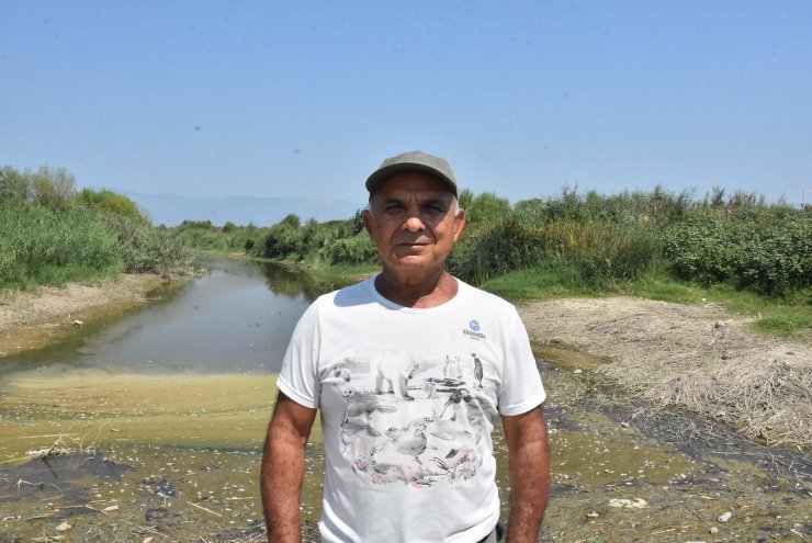 Söke'nin Sulak Alanlarına Moloz Tehdidi