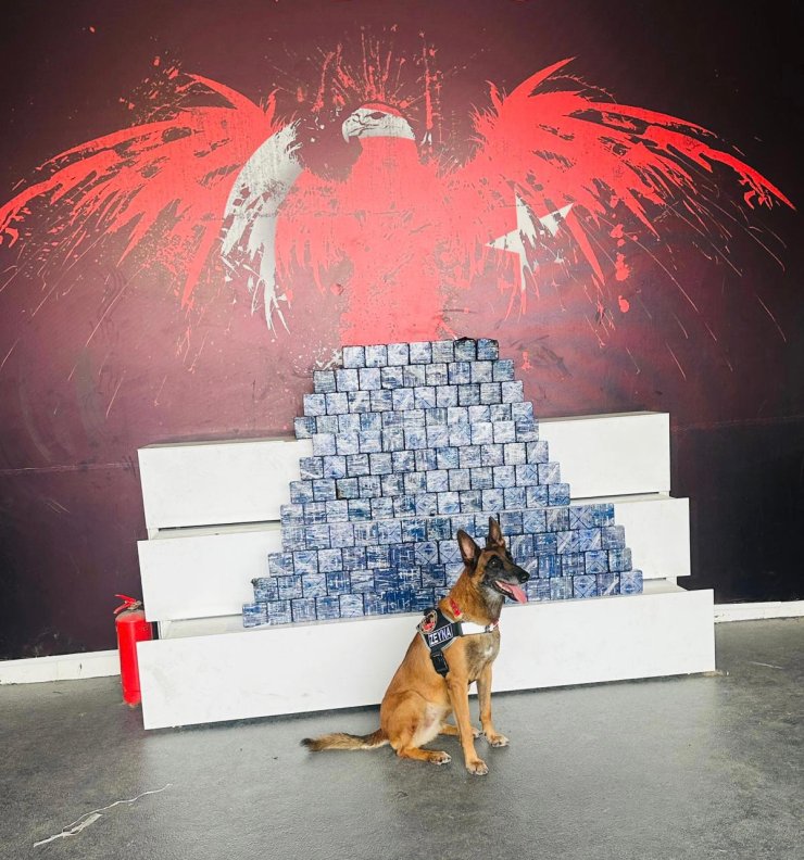 Yolcu Otobüsünde Koltukların Altına Gizlenmiş 76,5 Kilo Eroini 'Zeyna' Buldu