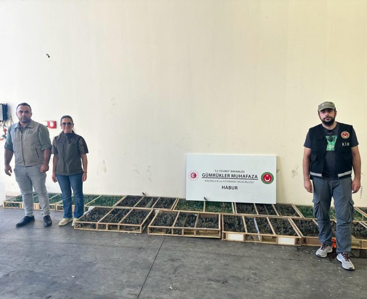 Yasa Dışı Yollarla Bin 600 Saka Kuşu Getiren 2 Şüpheliye, 2 Milyon 292 Bin Tl Ceza