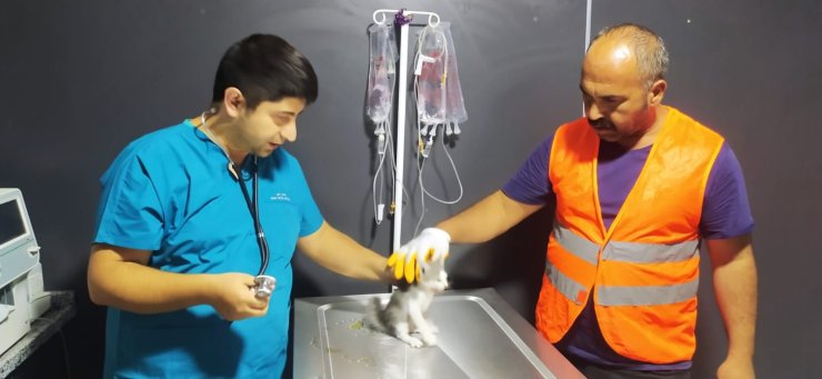 Yıkım Çalışmaları Sırasında Fark Edilen Kedi, Kurtarıldı