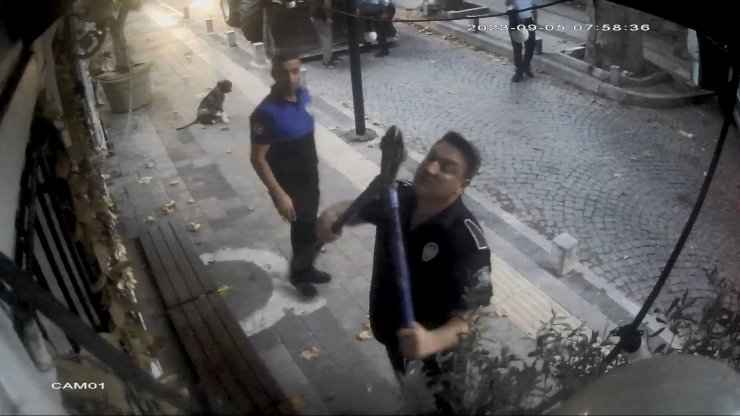 Sarıyer'de Tartışmaya Neden Olan Zeytin Ağaçlarına Şafak Operasyonu