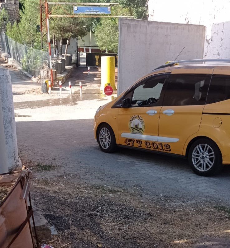 Taksinin Çarptığı Eşek, Yaralandı