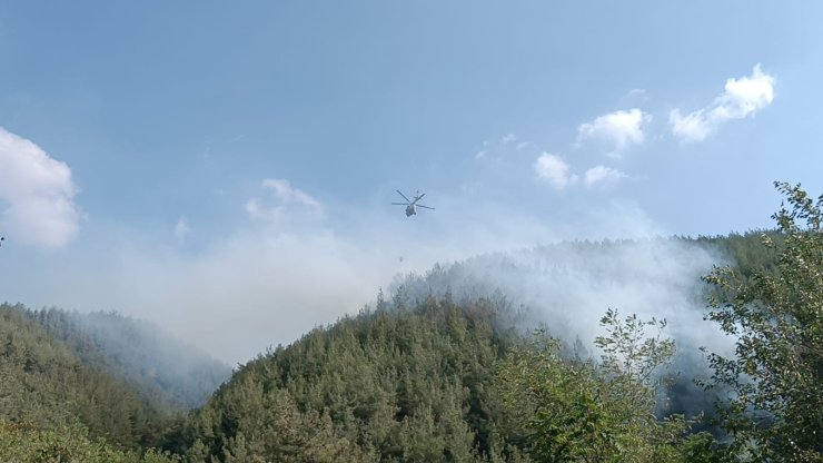 Osmaniye'de Orman Yangını